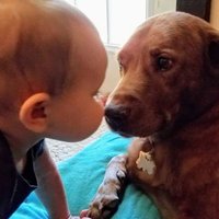 Kirk Carothers (@texkirk) 's Twitter Profile