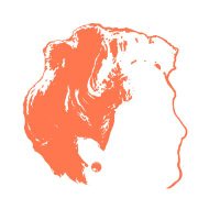 laprodu.es (@laprodutuit) 's Twitter Profile