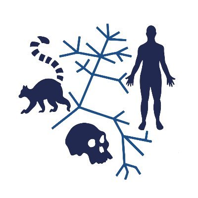 The members of the Evolutionary Anthropology Department @DukeU study the evolutionary origins of our species and what makes us unique.