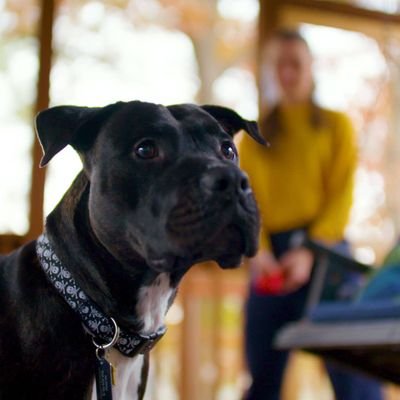 notaboomer9's profile picture. Wait... What?
Ladyshadow