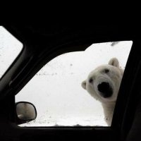 Not Charlie Cairoli (@charlie_cairoli) 's Twitter Profile Photo Not Charlie Cairoli (@charlie_cairoli) 's Twitter Profile Photo