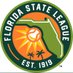 Florida State League (@FloridaStateLg) Twitter profile photo