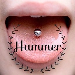 ピアスショップ Hammer Profile