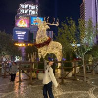 Jinjie He (@jinjiehe) 's Twitter Profile