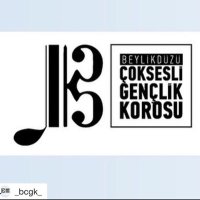 Beylikdüzü Çoksesli Gençlik Korosu (@_bcgk_) 's Twitter Profile