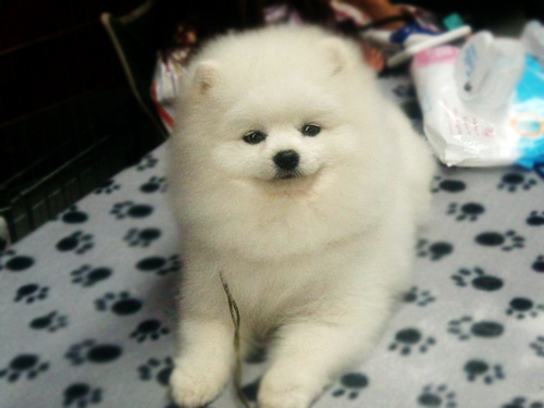 CumbredeCan's profile picture. 