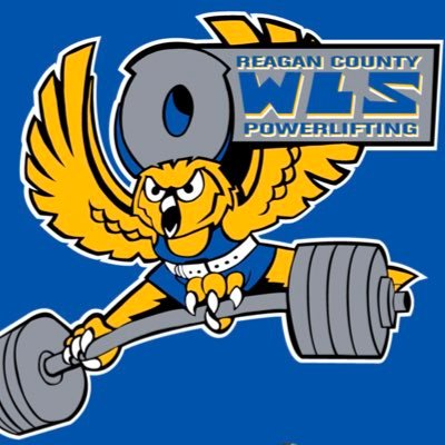 owlsarestronger Profile Picture