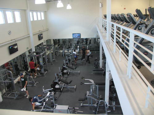 MOCHOMOL's profile picture. 