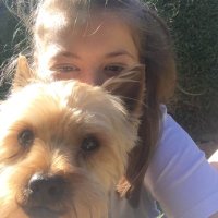 sam🌾 (@stefanichsam) 's Twitter Profile