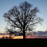 Reduced Reality Ⓥ 🌱 (@reducedreality) 's Twitter Profile Photo Reduced Reality Ⓥ 🌱 (@reducedreality) 's Twitter Profile Photo