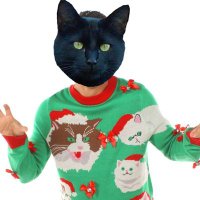 Flashdacat (@flashjumpingjak) 's Twitter Profile