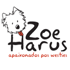 Canil especializado na criação de West H. W. Terrier. Temperamento, genética e pelagem! E-mail: zoeharus@gmail.com.br tel. whatsapp: +55 31 99111-1826