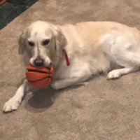 Molly Kantz (@kantzme) 's Twitter Profile