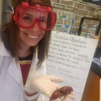 KateDormann (@dormannkate) 's Twitter Profile