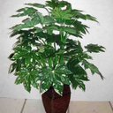 Maureen Olson - @maureenolson - Twitter