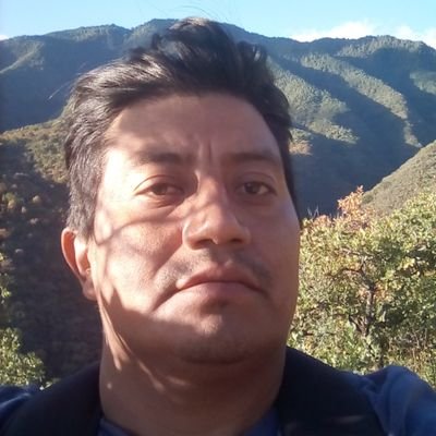 hernandezorlan4's profile picture. On ta mi Pinshi bici pa irme