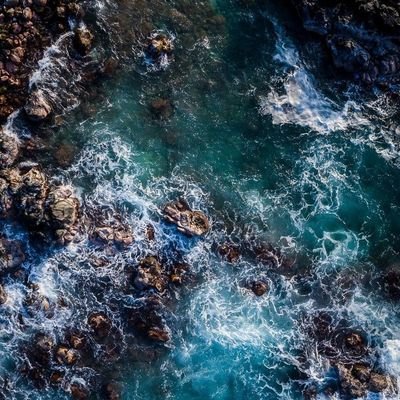 Harley76868799's profile picture. life can really be a pain