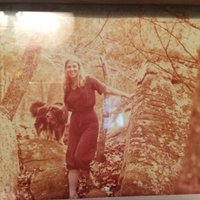 Valerie Collins (@valcoll) 's Twitter Profile