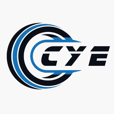 CyeLtd's profile picture. Export Japanese used tires and casings for retreading. 30 years of experience in this industry.