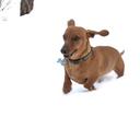 suzanne hendrix - @suzannewhendrix - Twitter