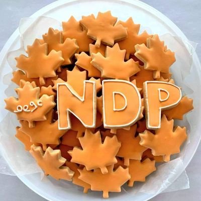 Official #Nunavut #NDP EDA #nupoli #cdnpoli