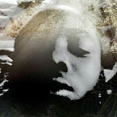 OmamedeSefia's profile picture. 