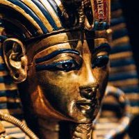 PFF 😎 (@pff26175682) 's Twitter Profile Photo