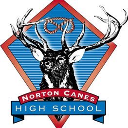 Norton Canes High School