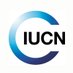 IUCN Ocean Team (@IucnOcean) Twitter profile photo