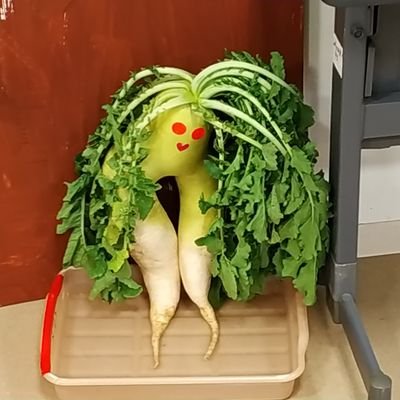 norick1052's profile picture. 労働組合役員として連合や立憲と関わり、こりゃだめだと思っている50代親父です。地域の子供が目に見えて減り活気がなくなっていくのを目の当たりにし日本の現状を憂いています。反自公維。れいわと共産党に子供が消費税など気にせず買い物できる世の中を取り戻してもらいたい。