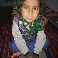 Anita devi (@anitade83197113) 's Twitter Profile