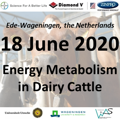 18 June 2020: Energy Metabolism in Dairy Cattle