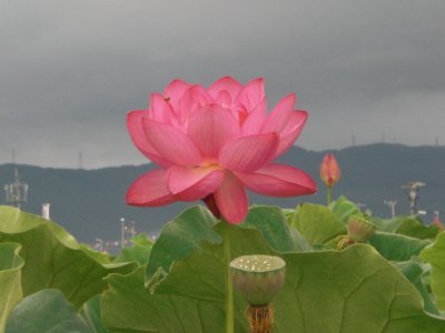 4AvoLZKxCpF0Q7z's profile picture. 