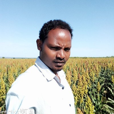 Associate Researcher in Breeding and Genetics at Ethiopian Institute of Agricultural Research based at Melkassa Agricultural Research Center
