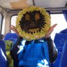 kentani07's profile picture. Geologist at the National Museum of Nature and Science, Japan
国立科学博物館理学研究部