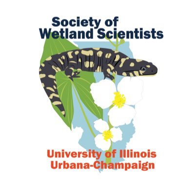 Student Chapter of the North Central Chapter of the Society of Wetland scientists. Conservation of our waterways through research, workshops, and more 🌾💧