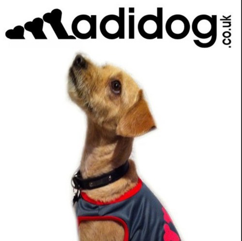 adidoguk's profile picture. We're adidog UK. Designed for pets, and giving your pets what they deserve. We stock adidog hoodies, vests and more. Check us out at our website.