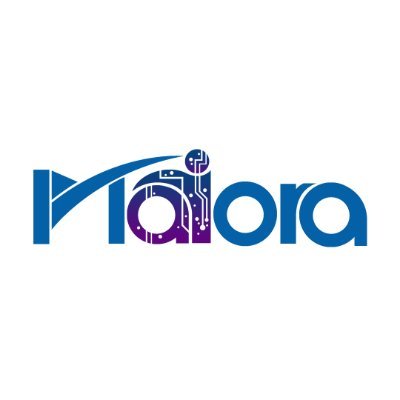 maiora_tech's profile picture. We offer a diverse set of services ranging from web and mobile app development to content management, cloud services and SAAS.