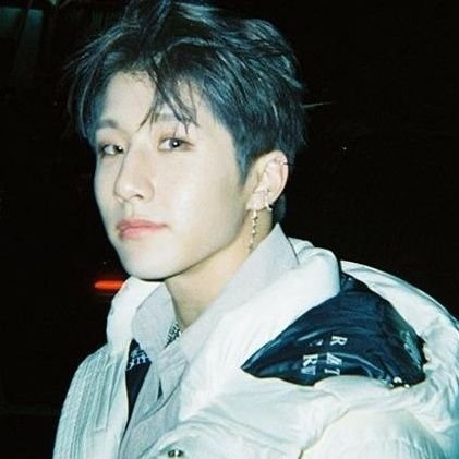 jinjinzip's profile picture. an archive of videos, pictures, gifs and all sorts of media content from 아스트로's fierce leader and slow rapper 진진 (박진우) 🐹🐶✨