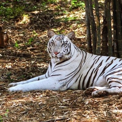 Pavi47235419's profile picture. 