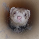 Heather - @Heather_rocks - Twitter