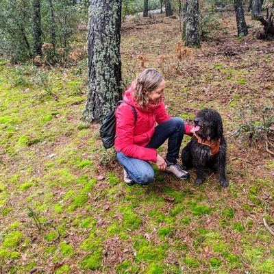 Associate professor and researcher at UOC. Interested in assessment and feedback processes. https://t.co/yR5lTqq0PN
Fan de Prades.