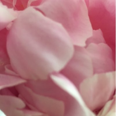 givethisgift's profile picture. 