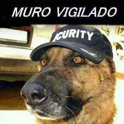 La justicia,no es igual para todos. Este muro no es para fascistas, me gustan los animales vivos.