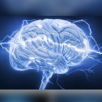 Boosted Brains (@brainsboosted) 's Twitter Profile