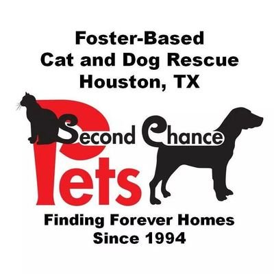 We are a foster-based non-profit 501c3 rescue organization in Houston/Clear Lake, Texas. Our pets are available on Saturday at the Space Center Petco