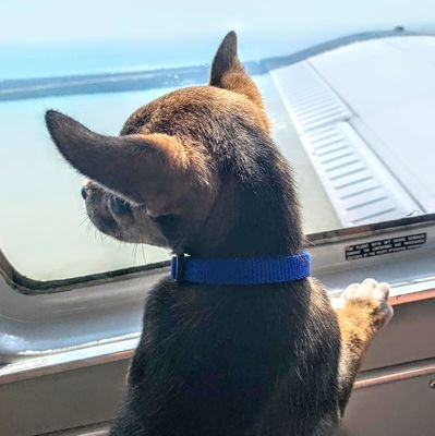 r_pieniazek's profile picture. 