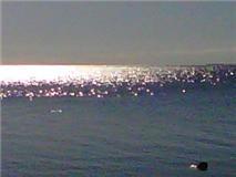 jldswriting's profile picture. believer, mom and grammy, proud Chaser, and cat companion