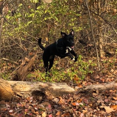 asell8881's profile picture. 