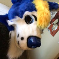 Agave (@agavehusky) 's Twitter Profile Photo Agave (@agavehusky) 's Twitter Profile Photo